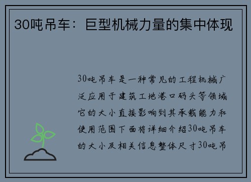 30吨吊车：巨型机械力量的集中体现