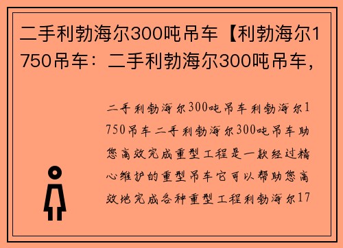 二手利勃海尔300吨吊车【利勃海尔1750吊车：二手利勃海尔300吨吊车，助您高效完成重型工程】