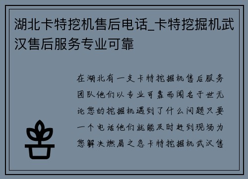 湖北卡特挖机售后电话_卡特挖掘机武汉售后服务专业可靠